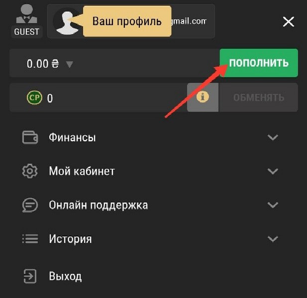 Пополнить Риобет